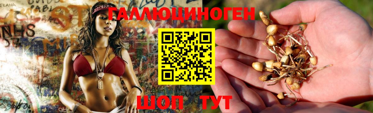 Псилоцибиновые грибы мухоморы Кимовск
